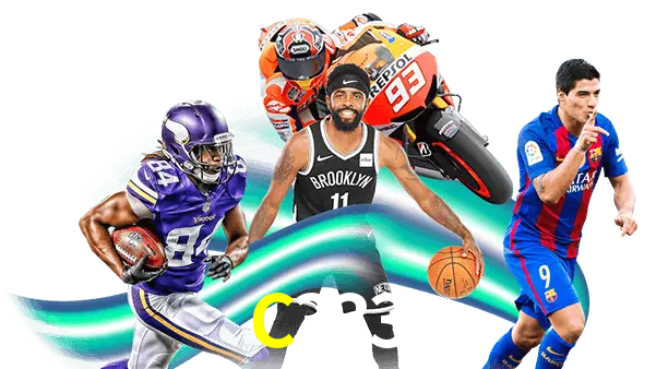 C333